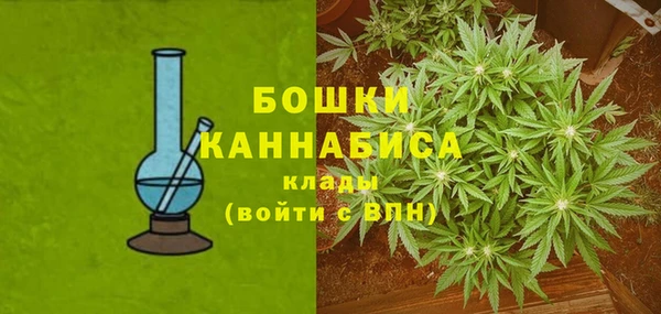 дживик Нея