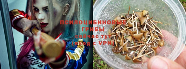 герыч Арсеньев