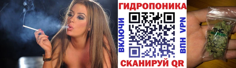 Бошки марихуана планчик  hydra как зайти  Спас-Клепики 